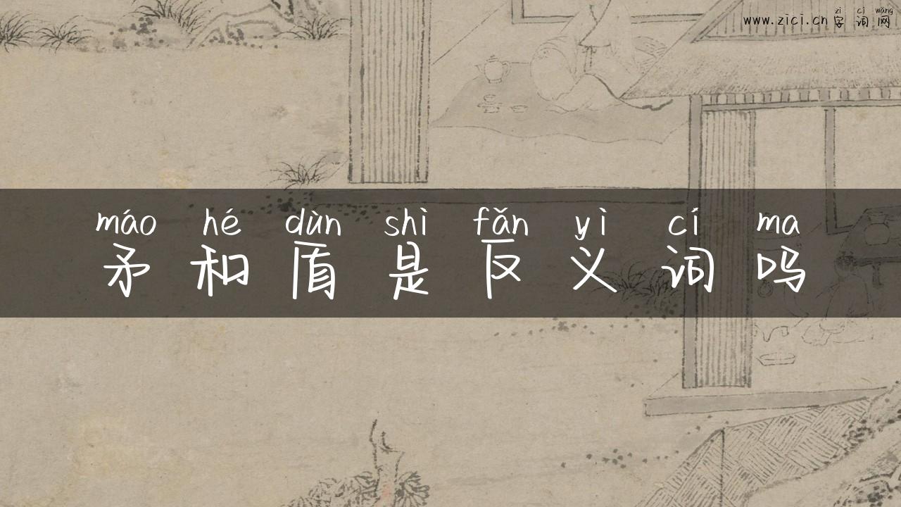 矛和盾是反义词吗