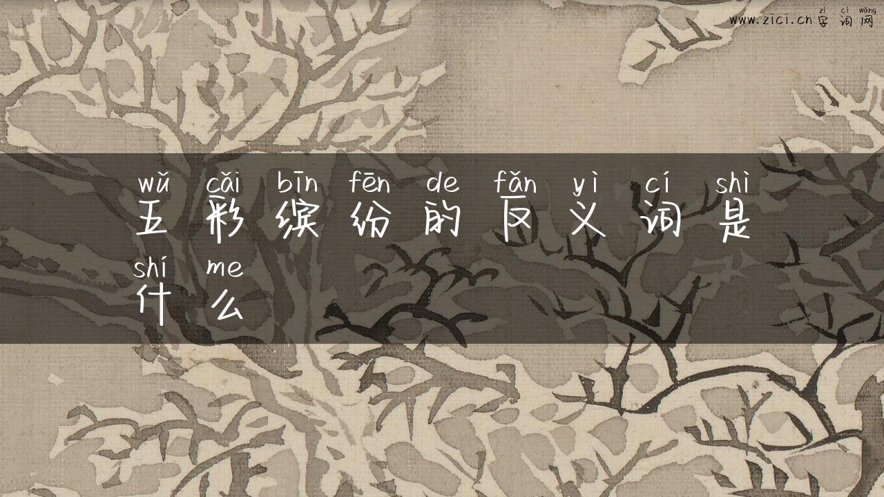 五彩缤纷的反义词是什么