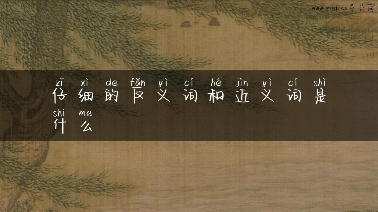 仔细的反义词和近义词是什么