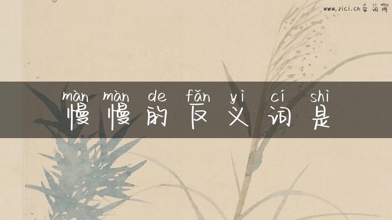 慢慢的反义词是