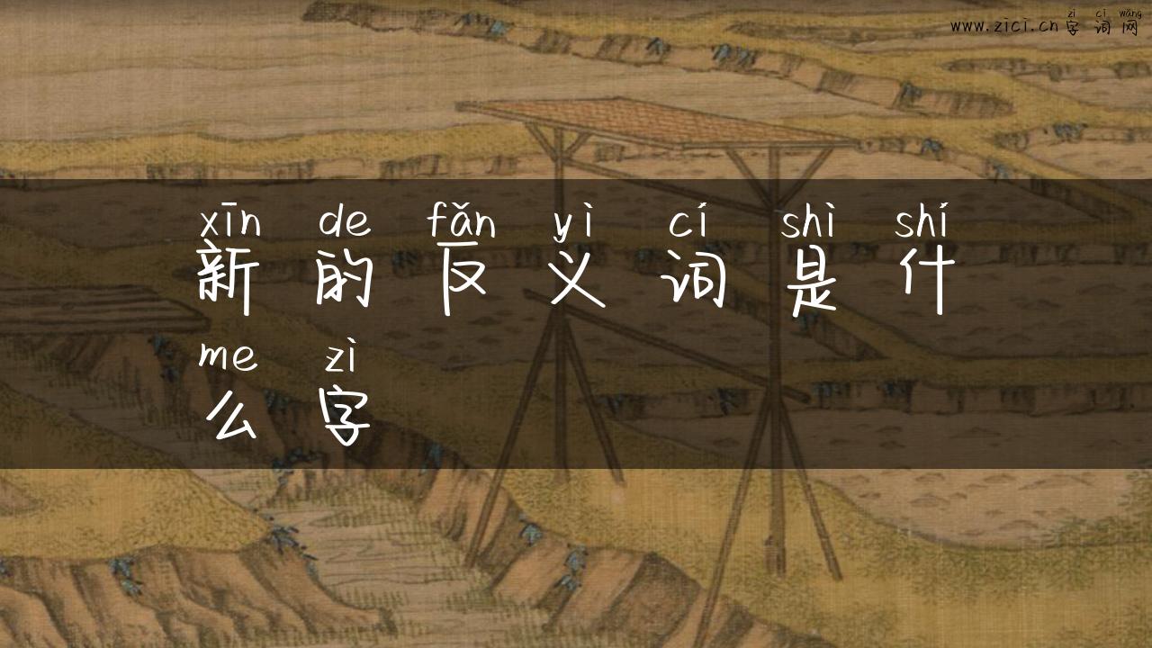 新的反义词是什么字