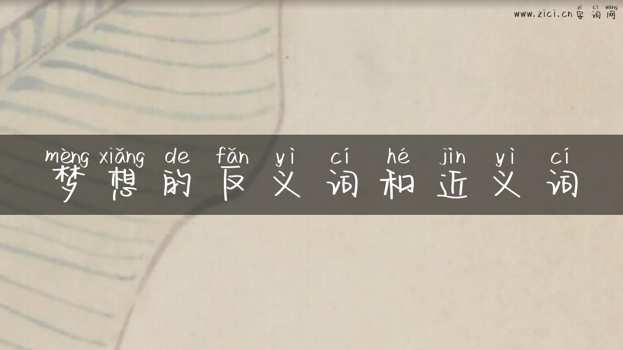 梦想的反义词和近义词