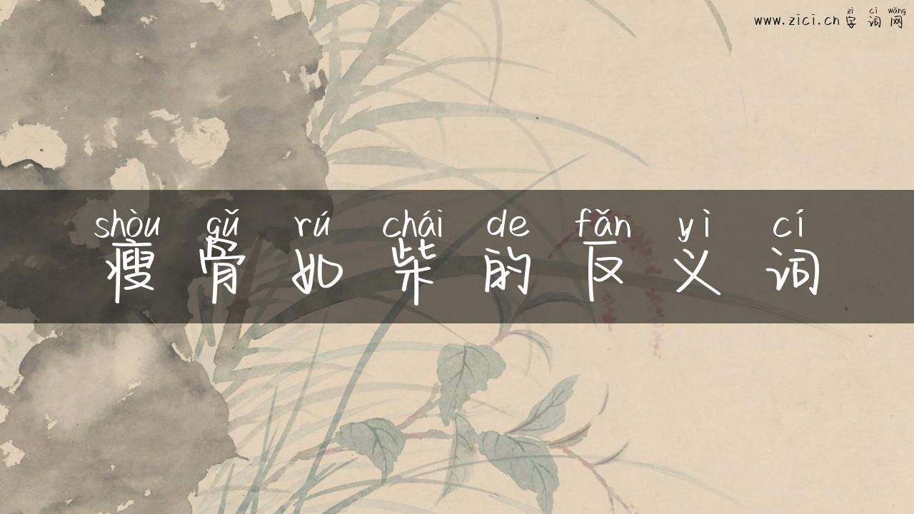 瘦骨如柴的反义词