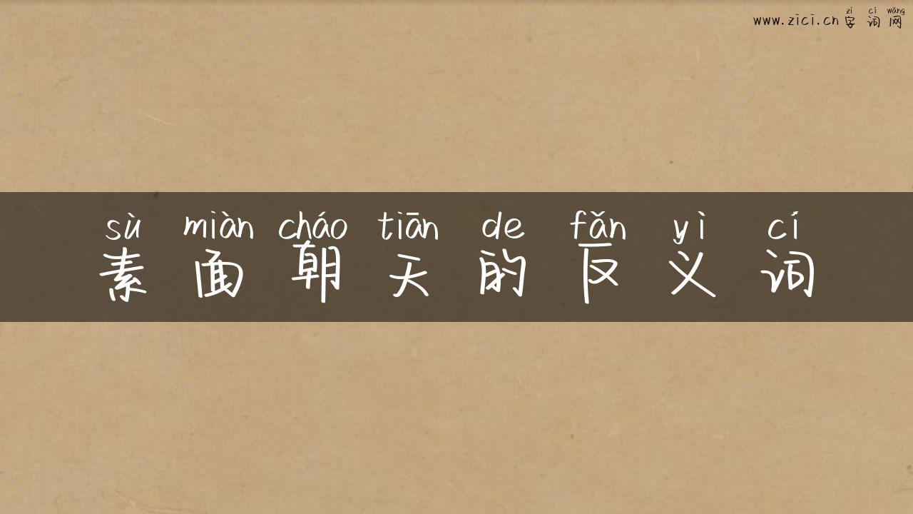 素面朝天的反义词