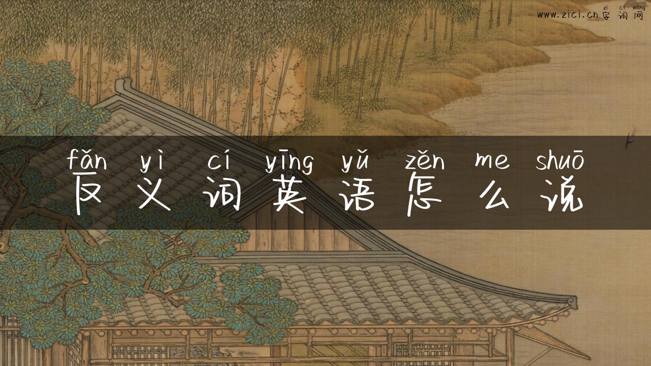 反义词英语怎么说