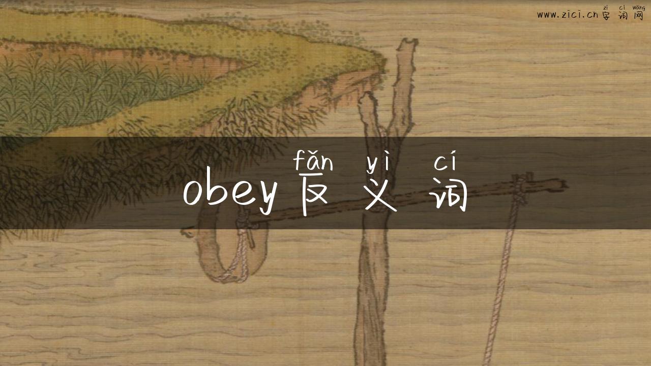 obey反义词