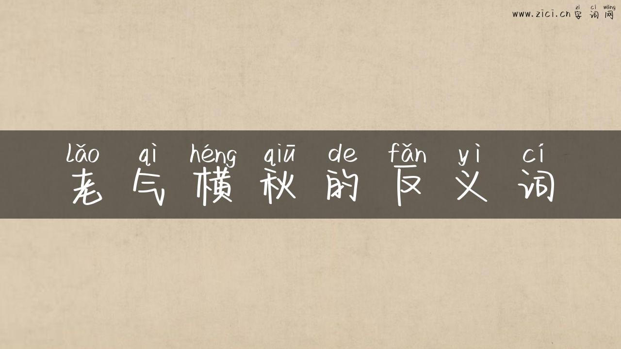 老气横秋的反义词