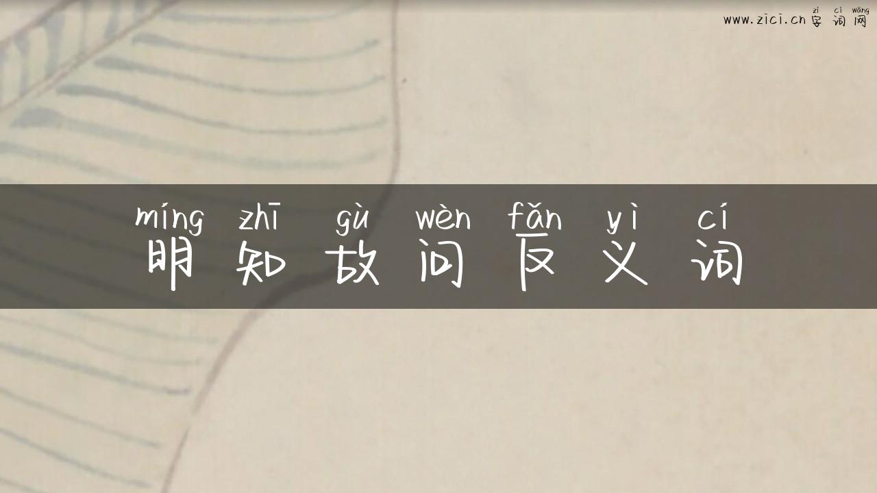 明知故问反义词