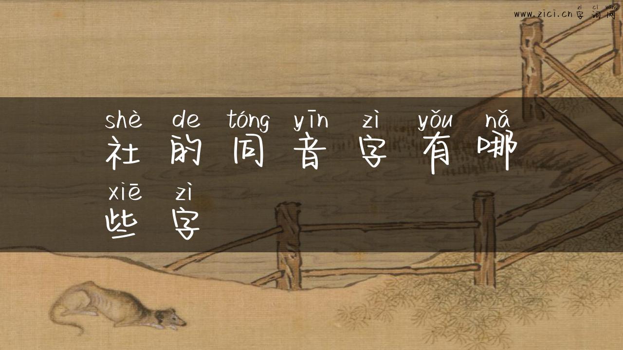 社的同音字有哪些字