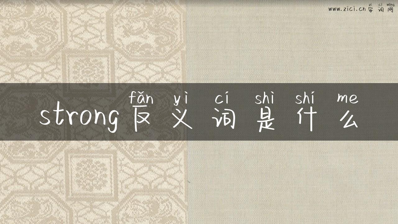 strong反义词是什么