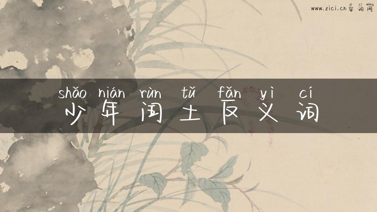 少年闰土反义词