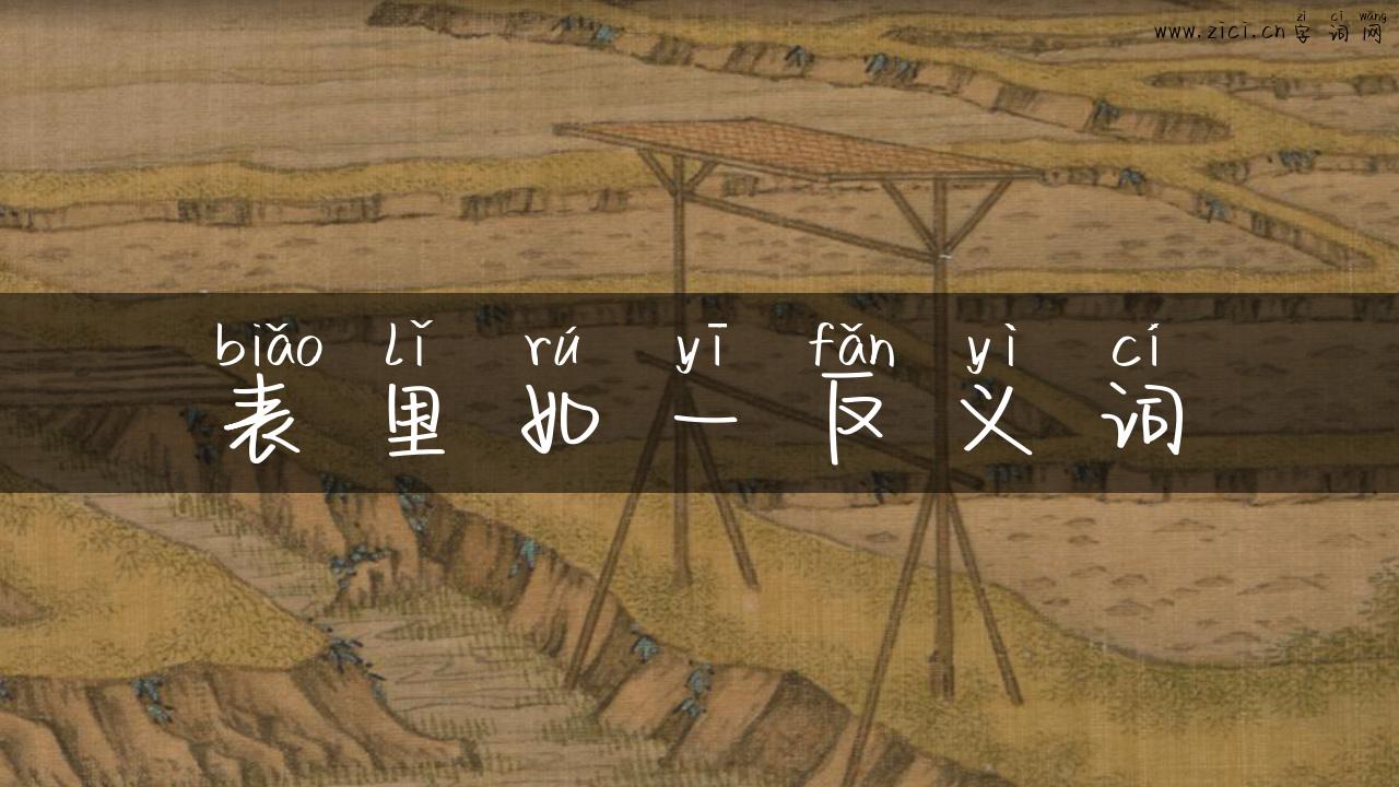 表里如一反义词