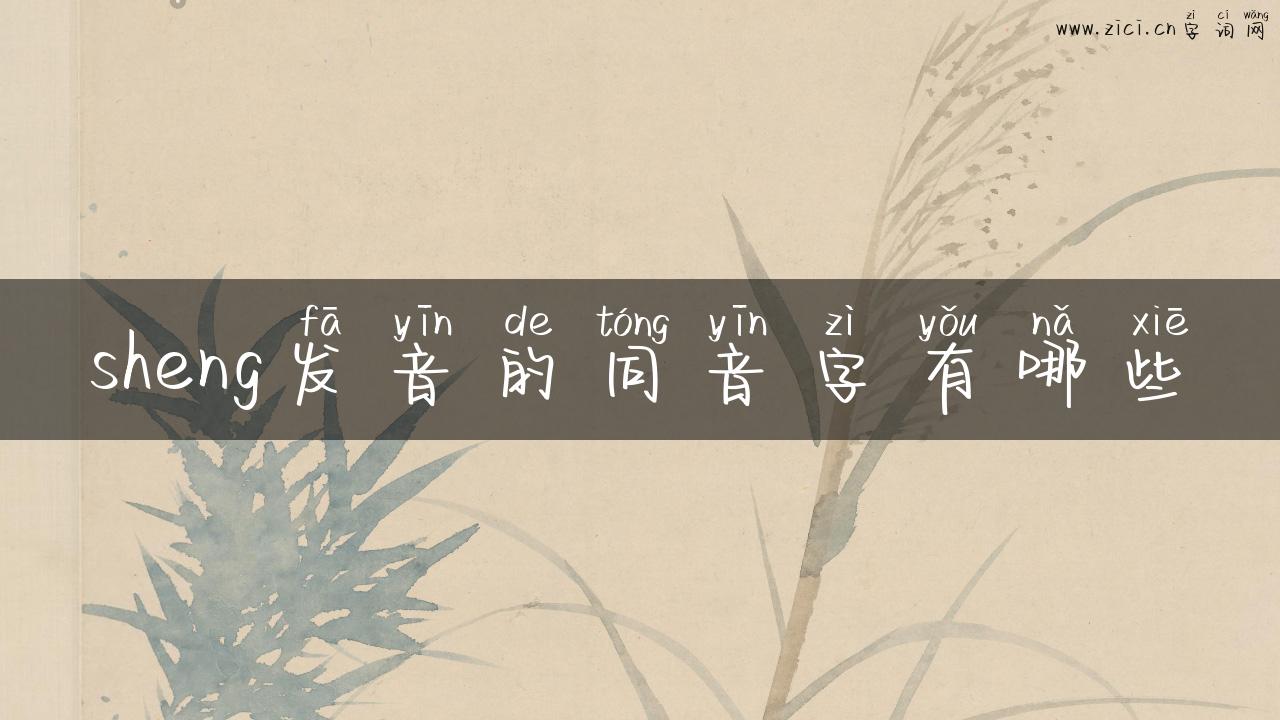 sheng发音的同音字有哪些