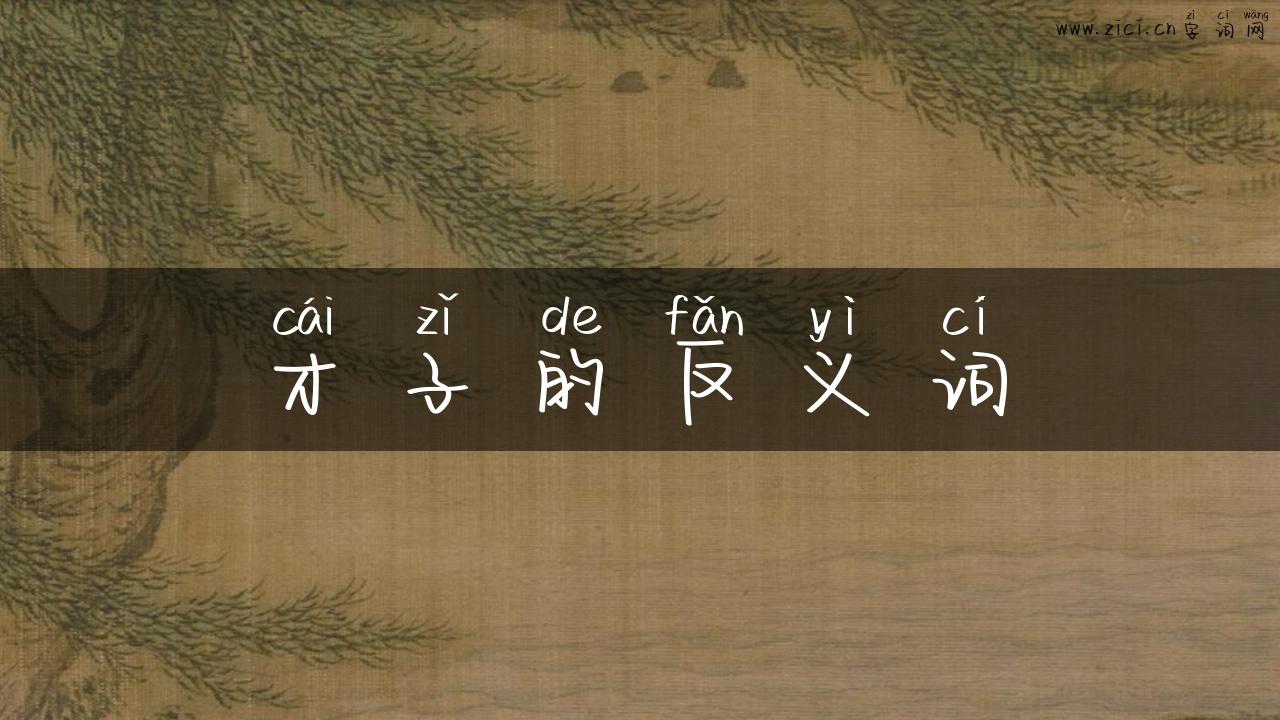才子的反义词