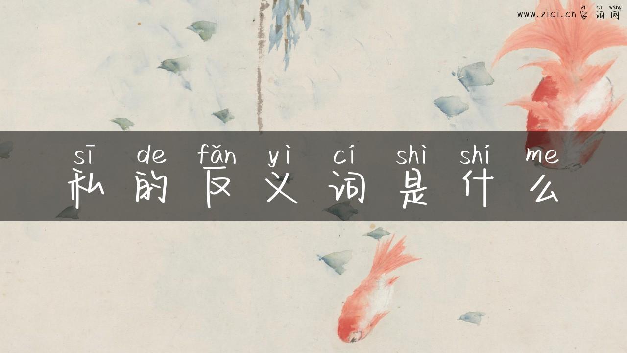 私的反义词是什么