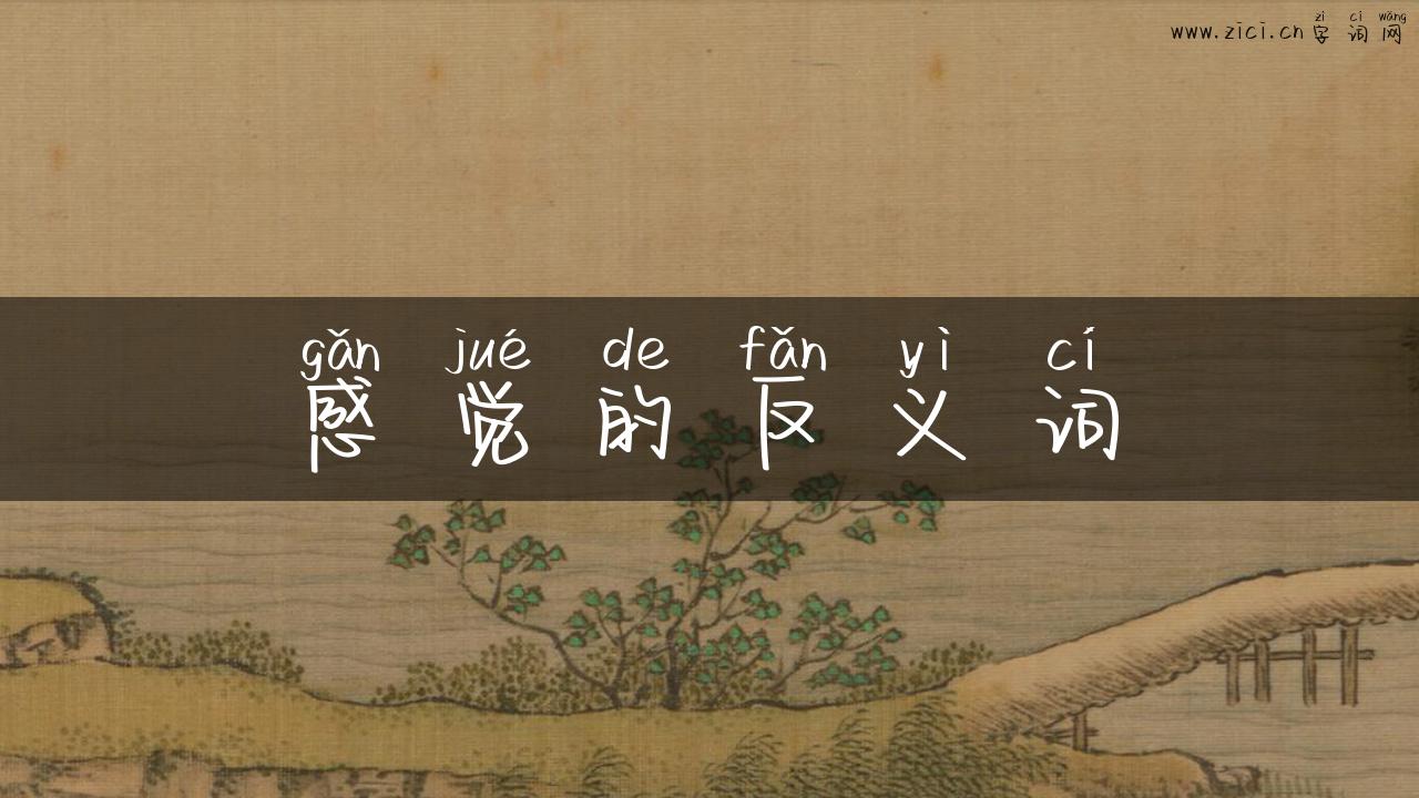 感觉的反义词