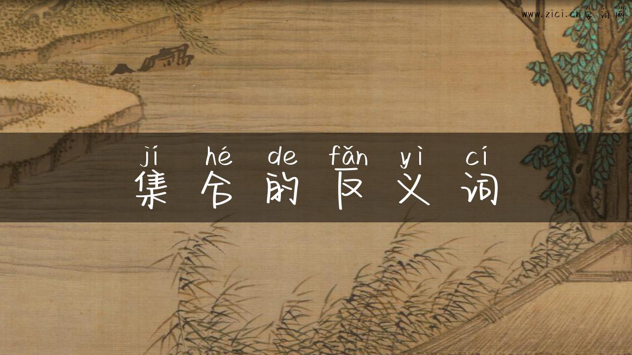 集合的反义词
