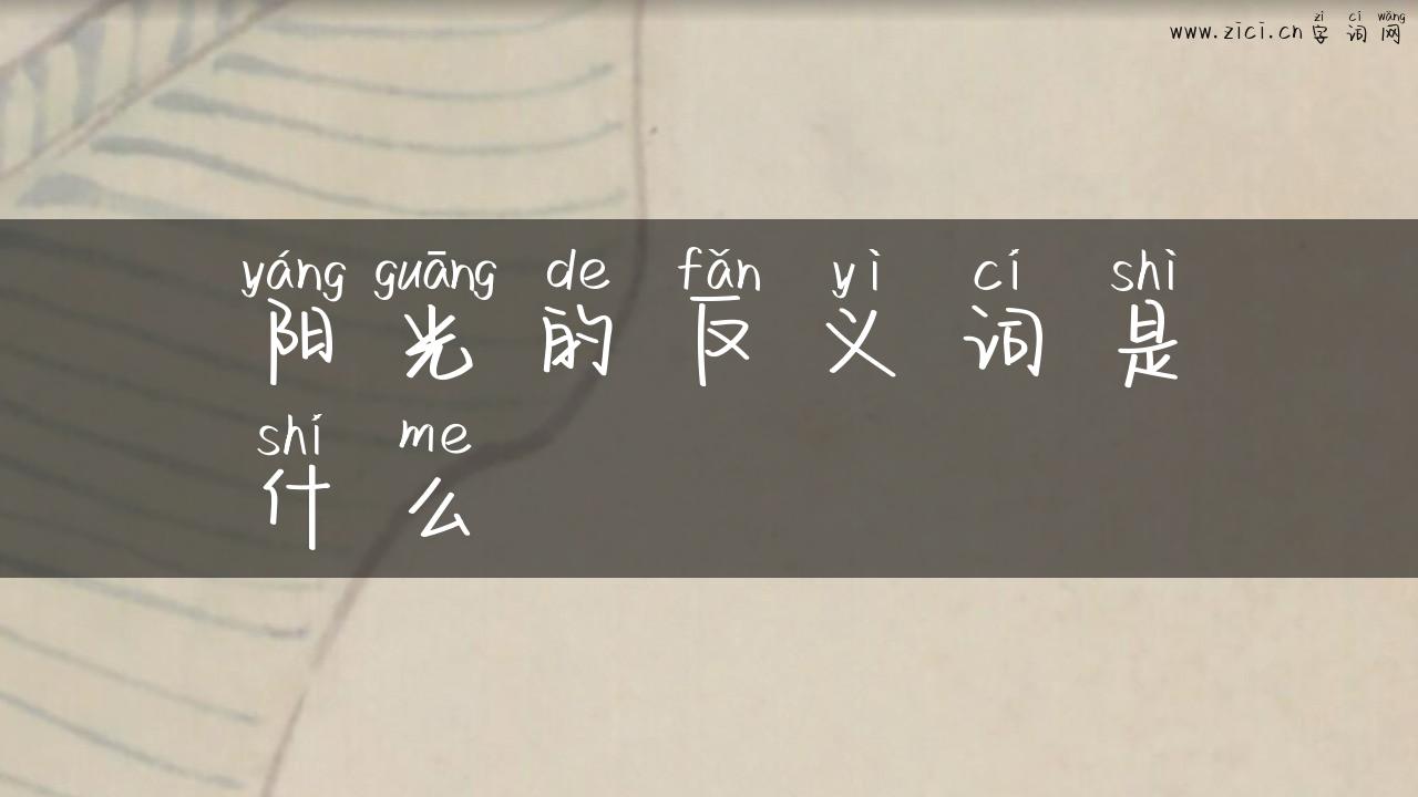 阳光的反义词是什么