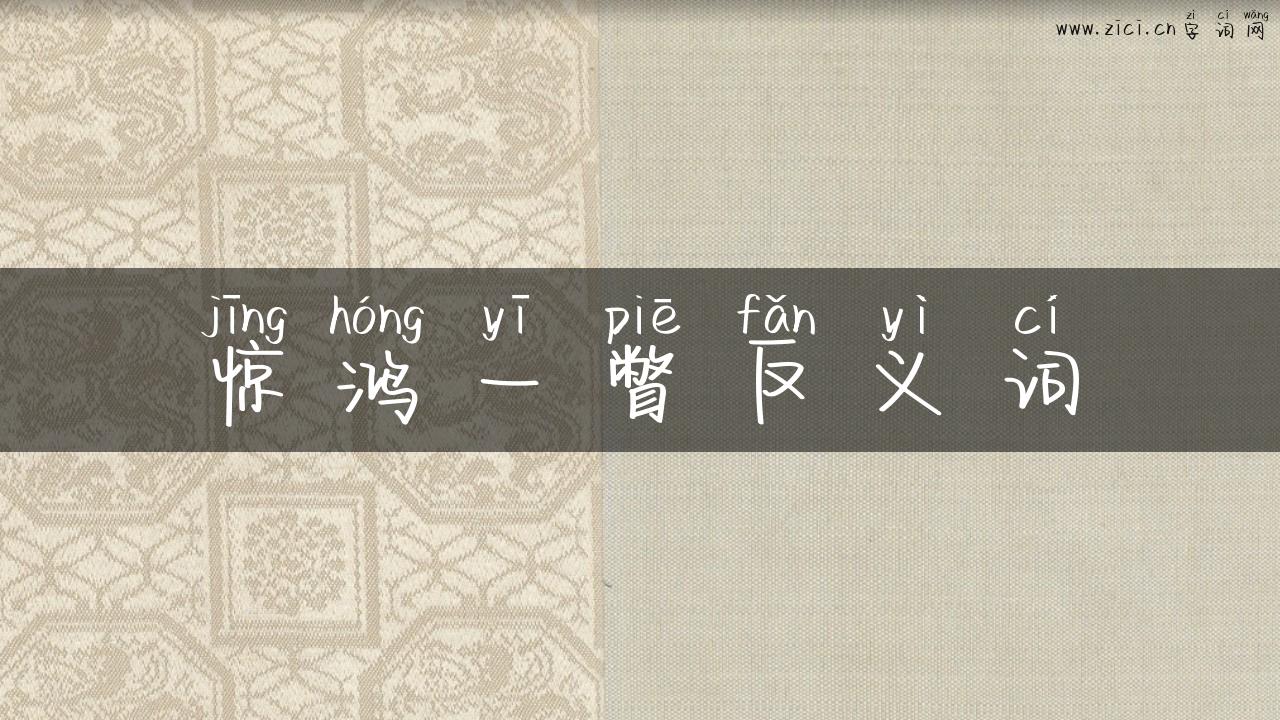惊鸿一瞥反义词
