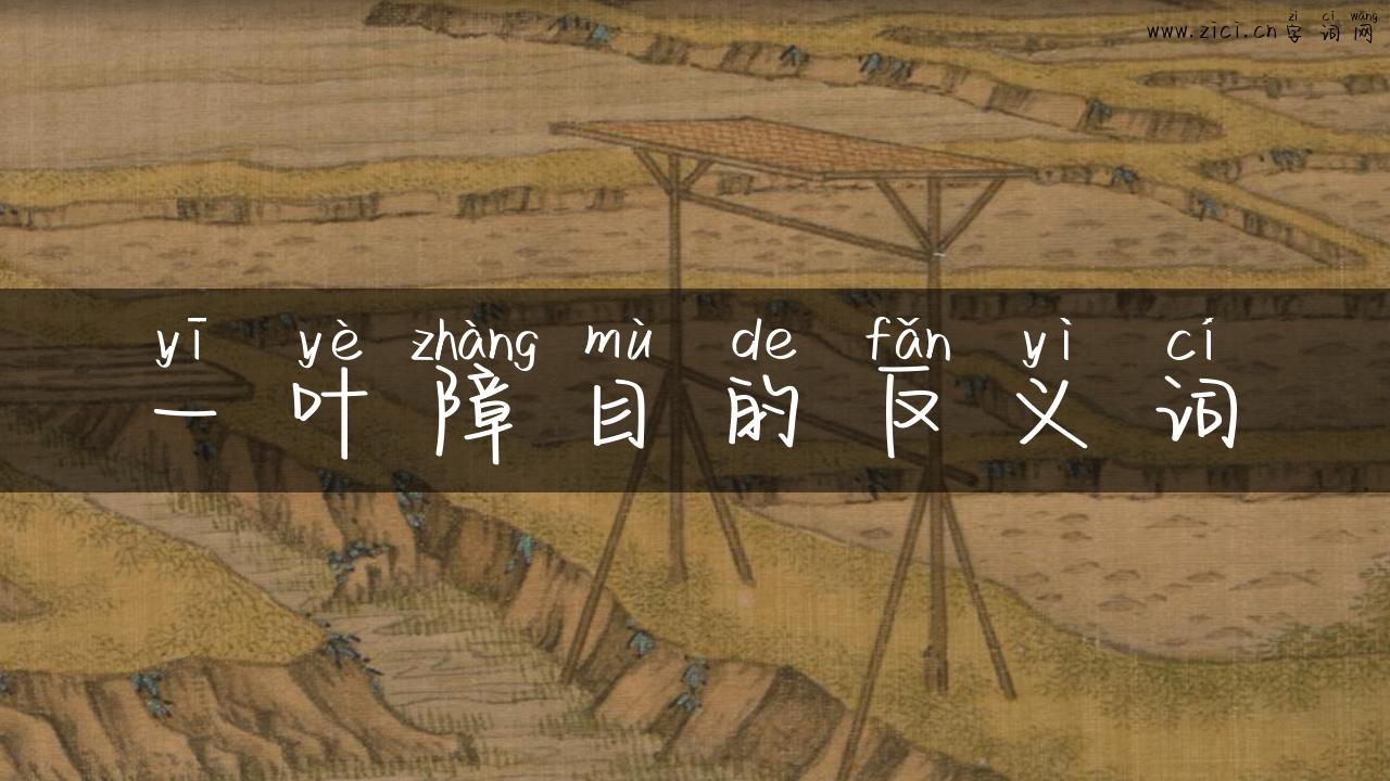 一叶障目的反义词