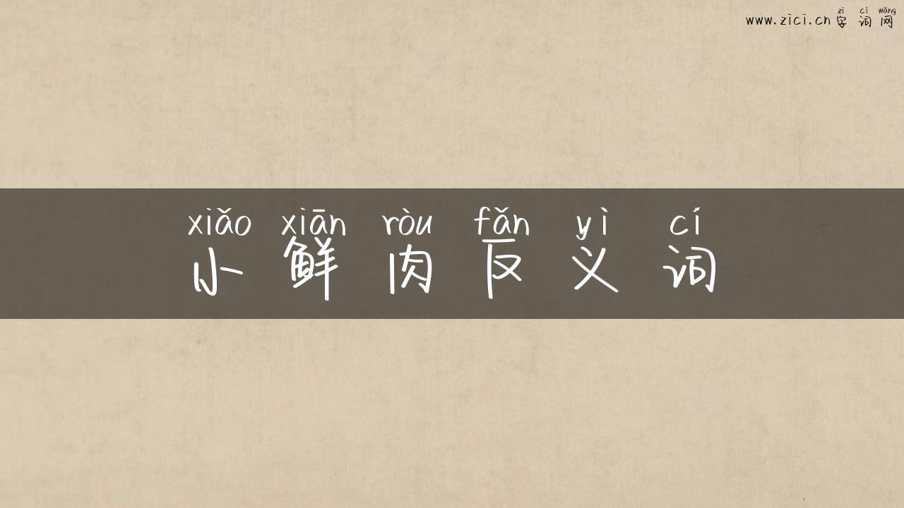 小鲜肉反义词