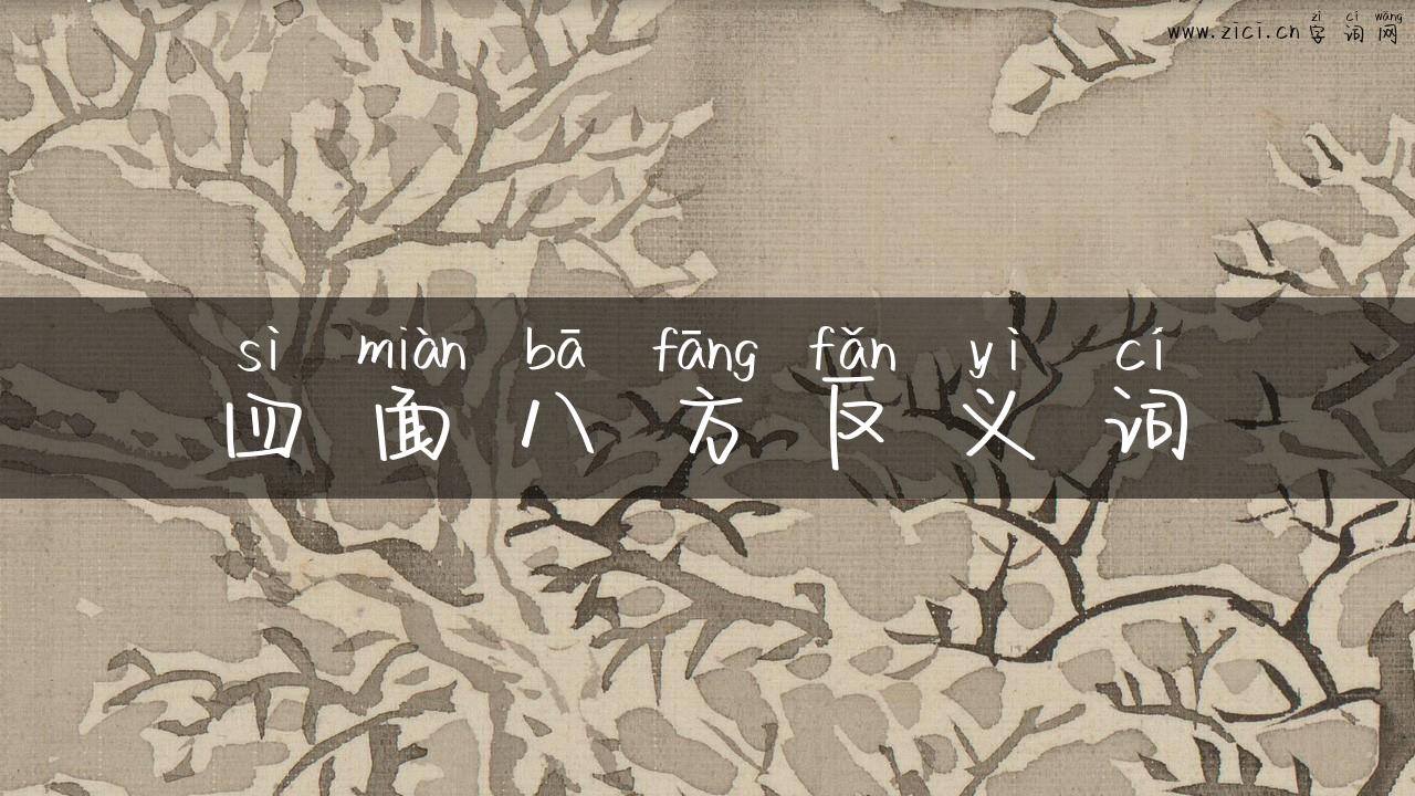 四面八方反义词