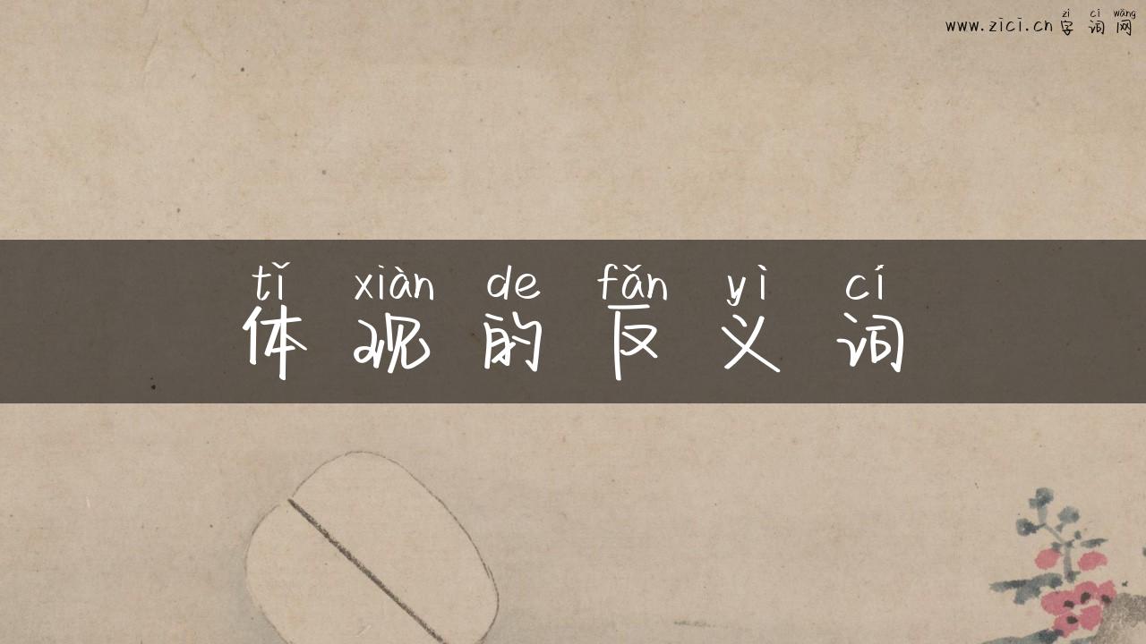 体现的反义词