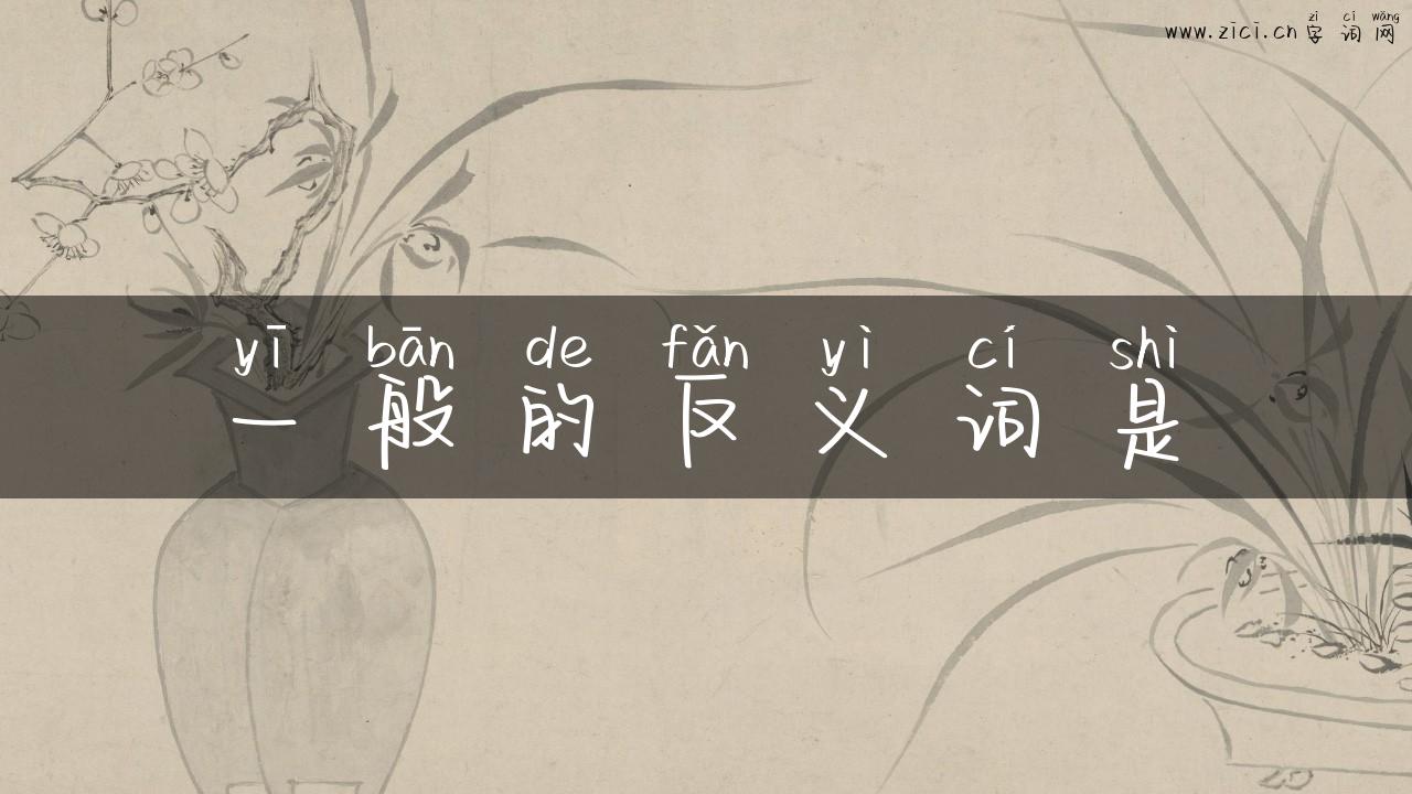 一般的反义词是