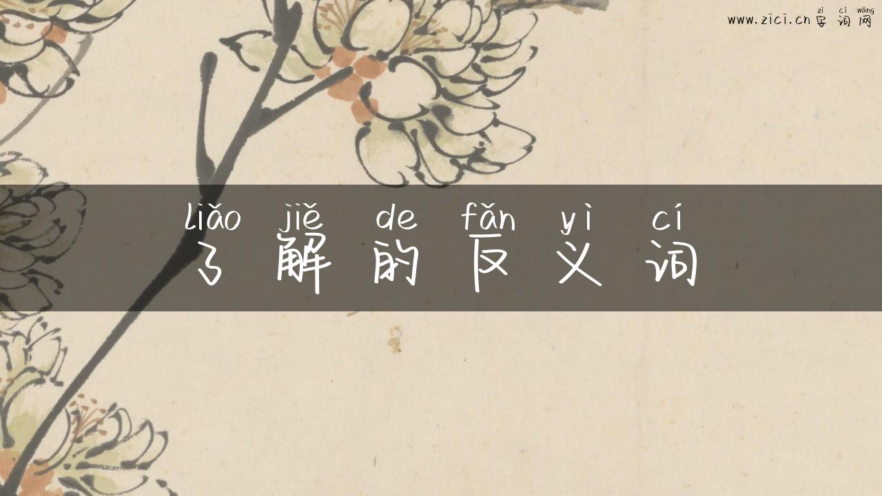 了解的反义词