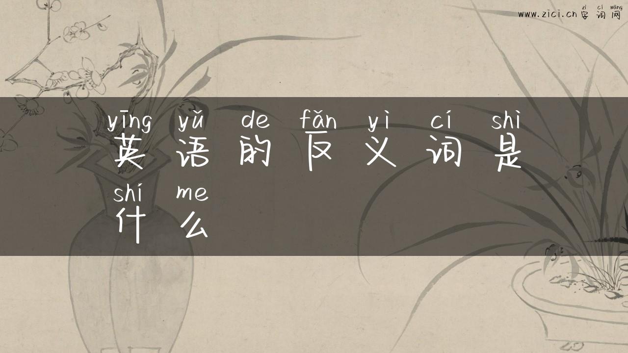 英语的反义词是什么