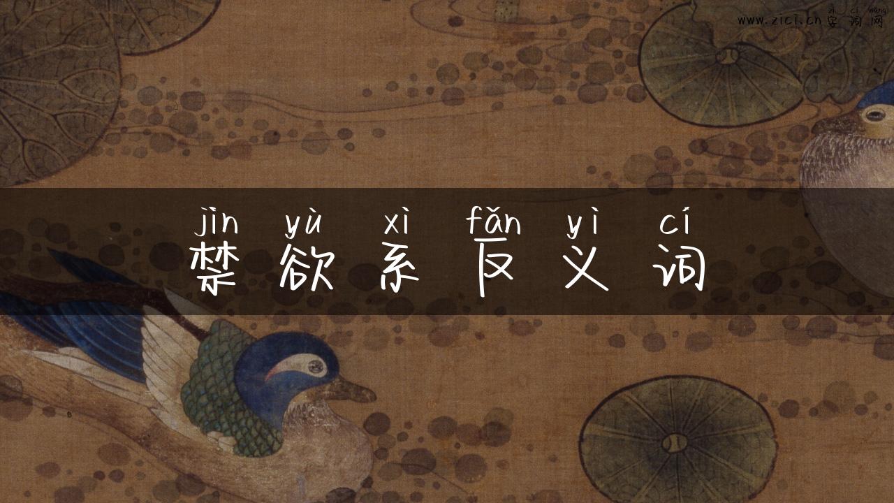 禁欲系反义词