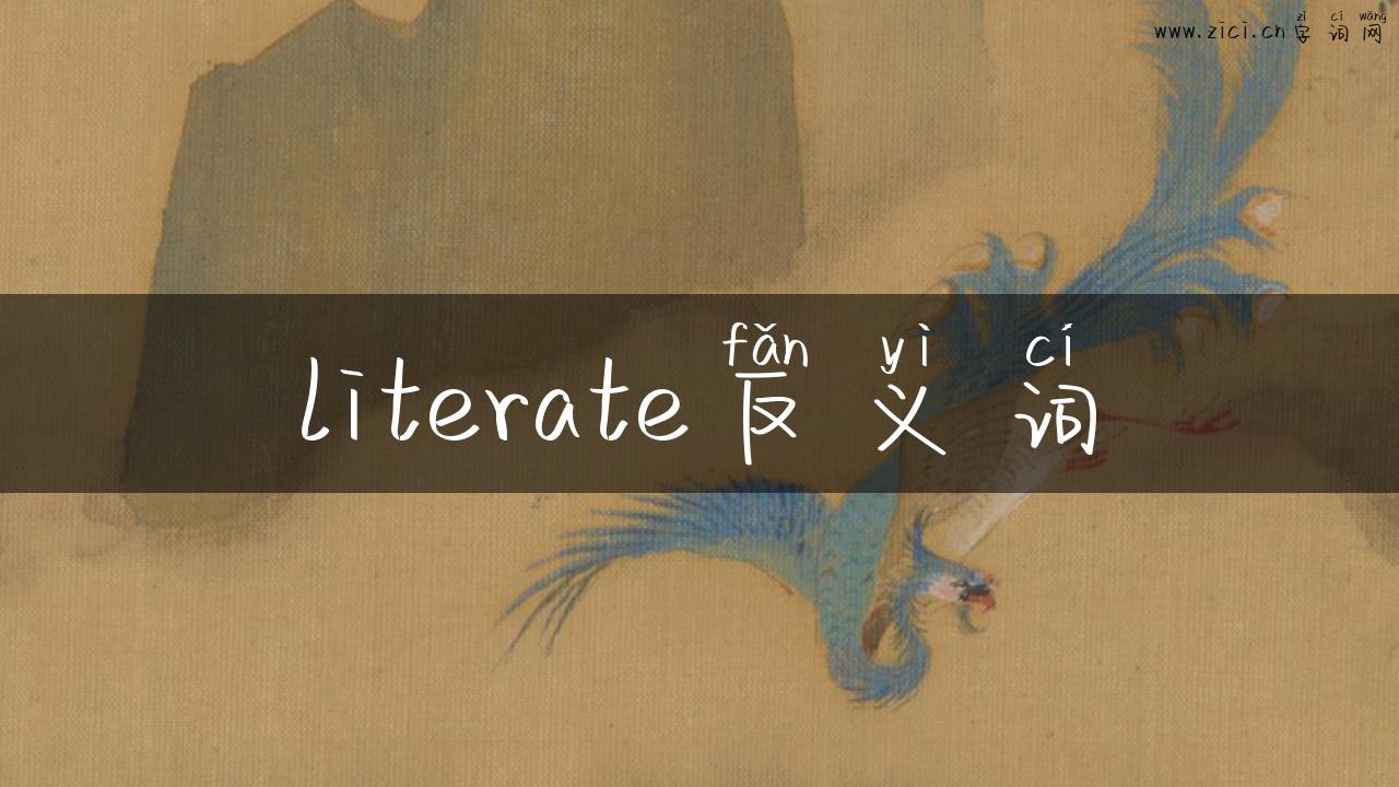 literate反义词