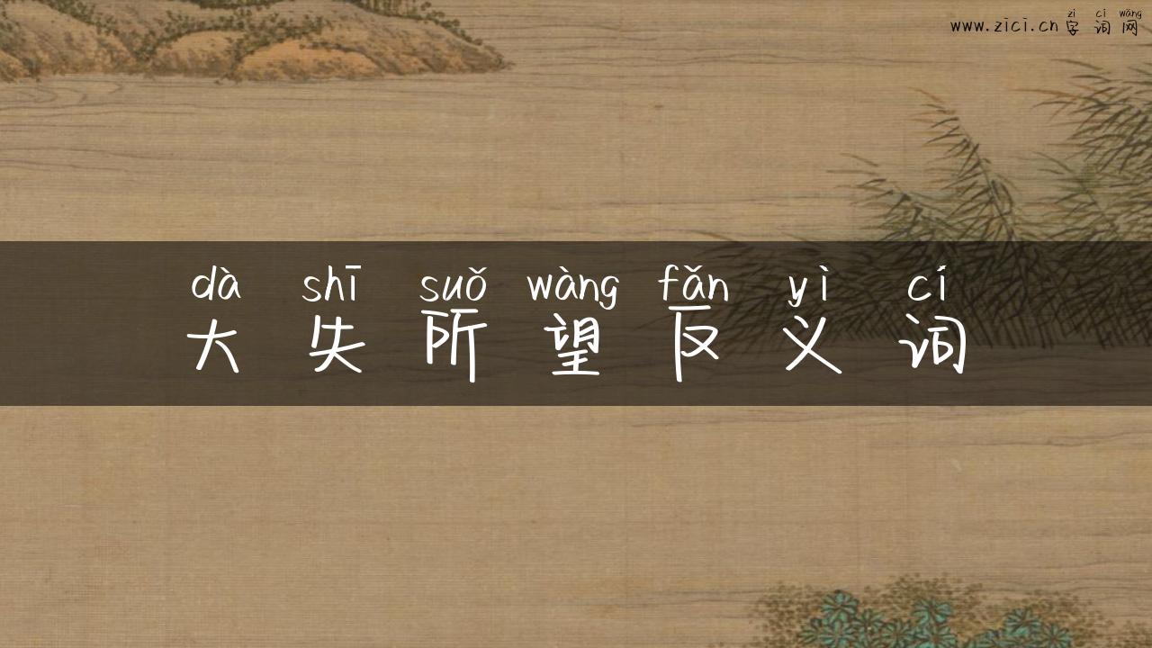 大失所望反义词