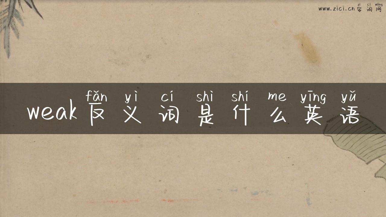 weak反义词是什么英语