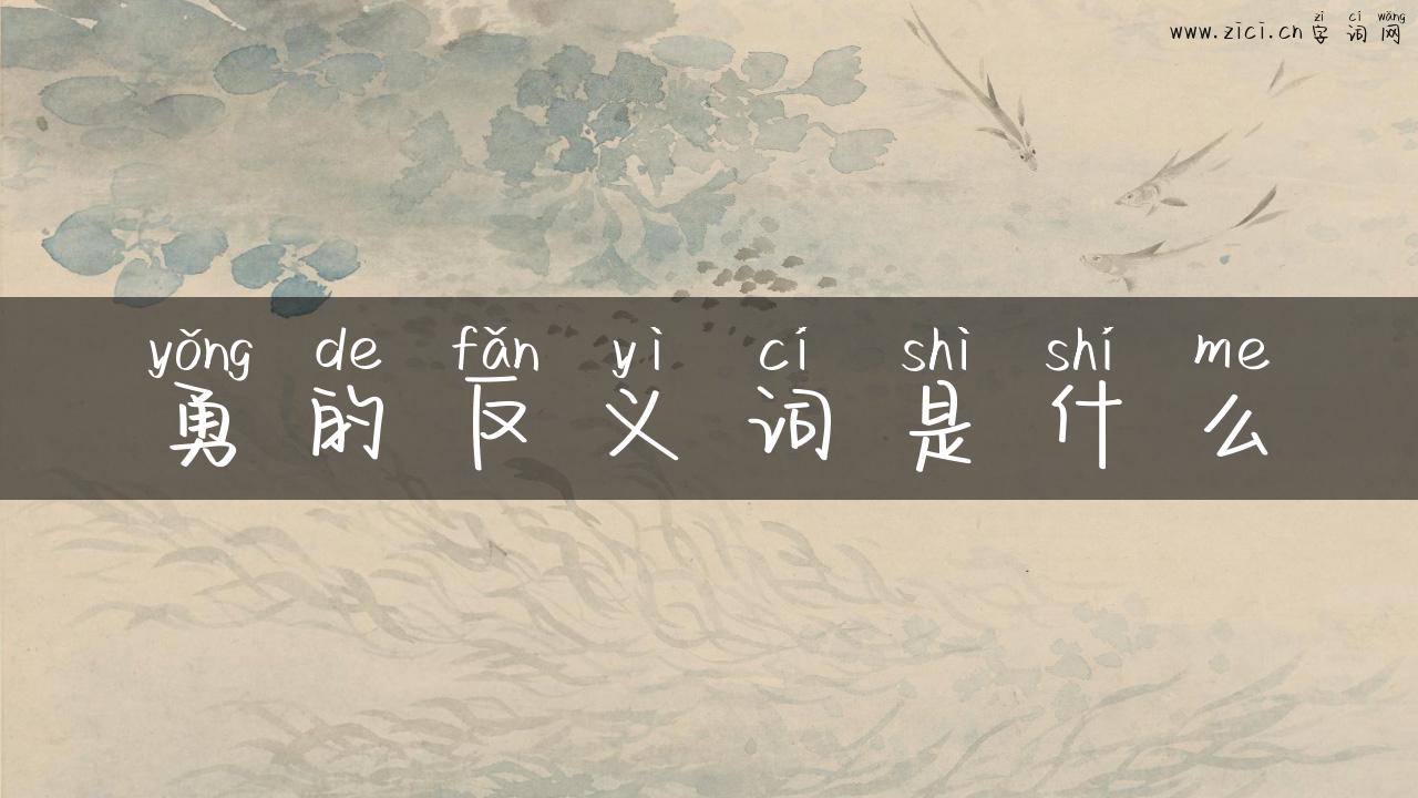 勇的反义词是什么