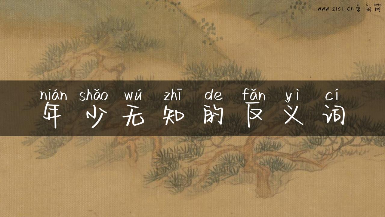 年少无知的反义词