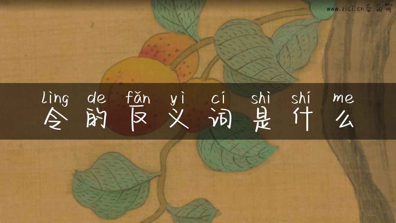 令的反义词是什么