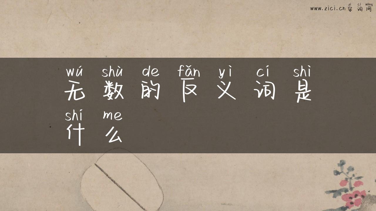 无数的反义词是什么
