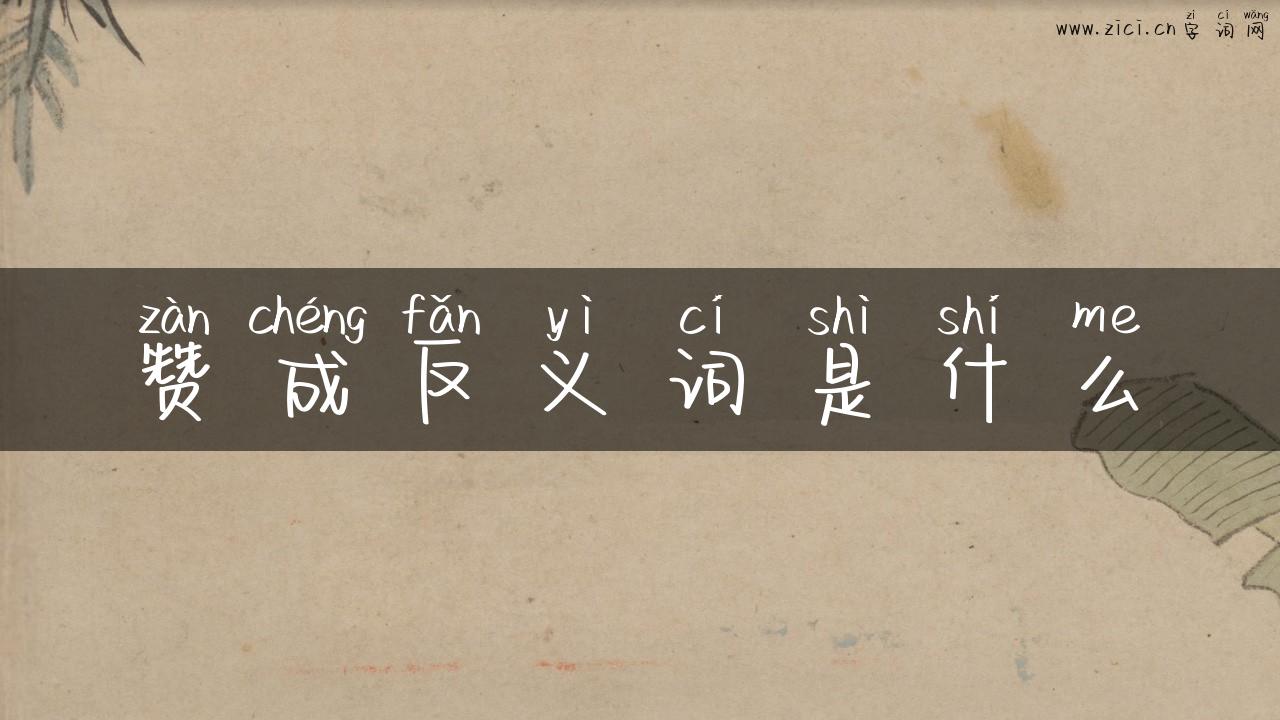赞成反义词是什么