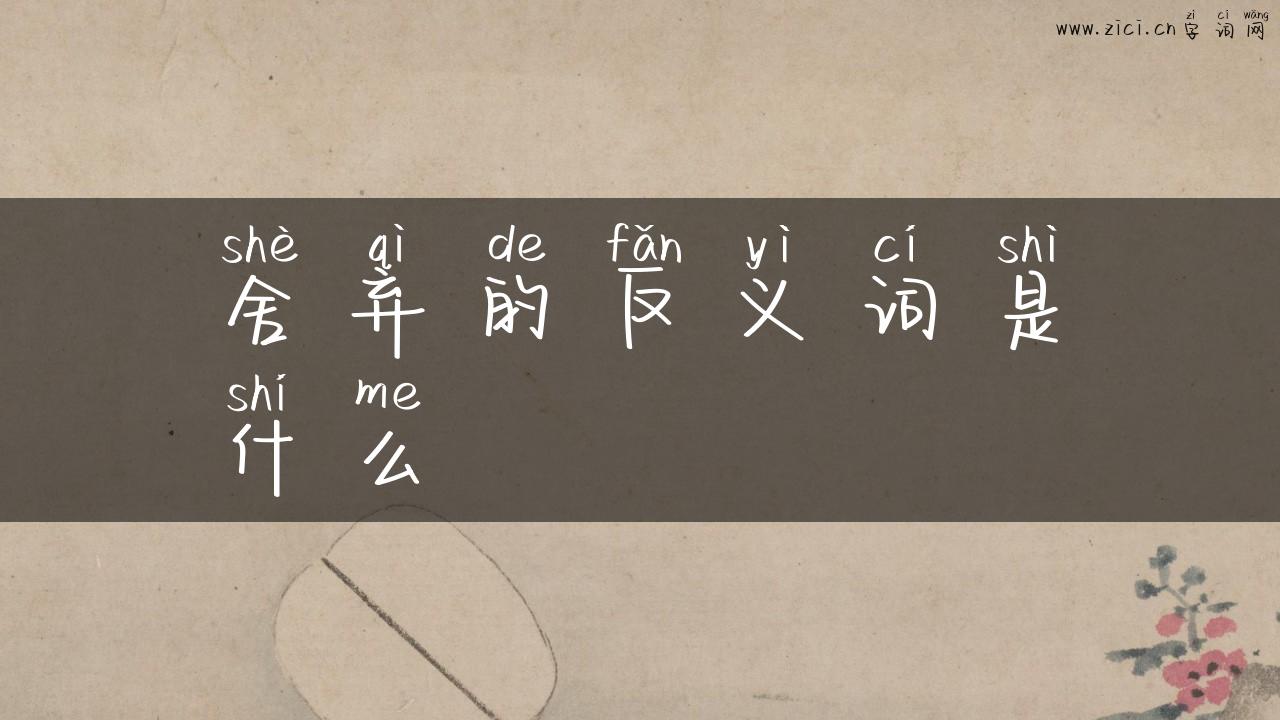舍弃的反义词是什么