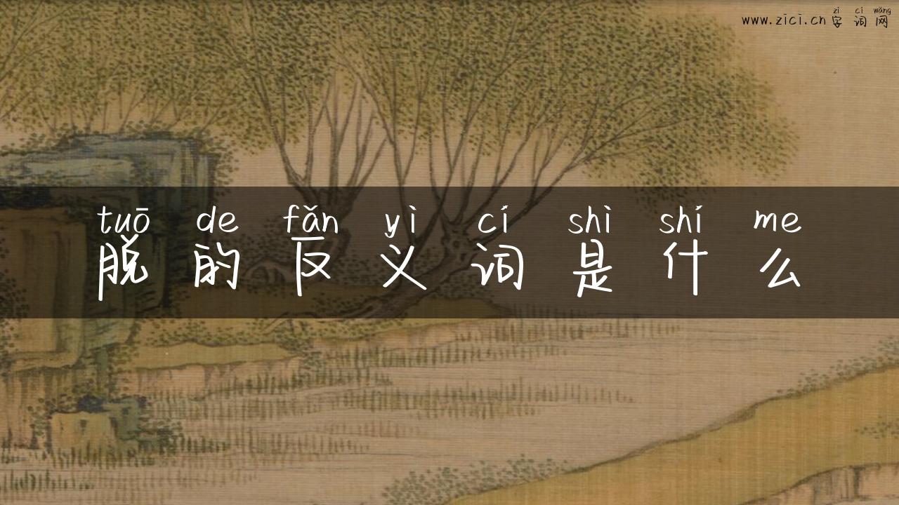 脱的反义词是什么