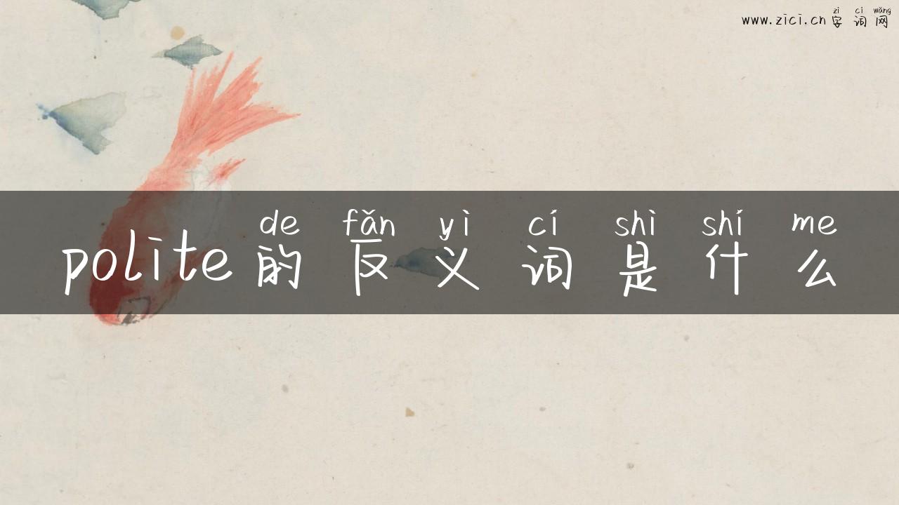 polite的反义词是什么