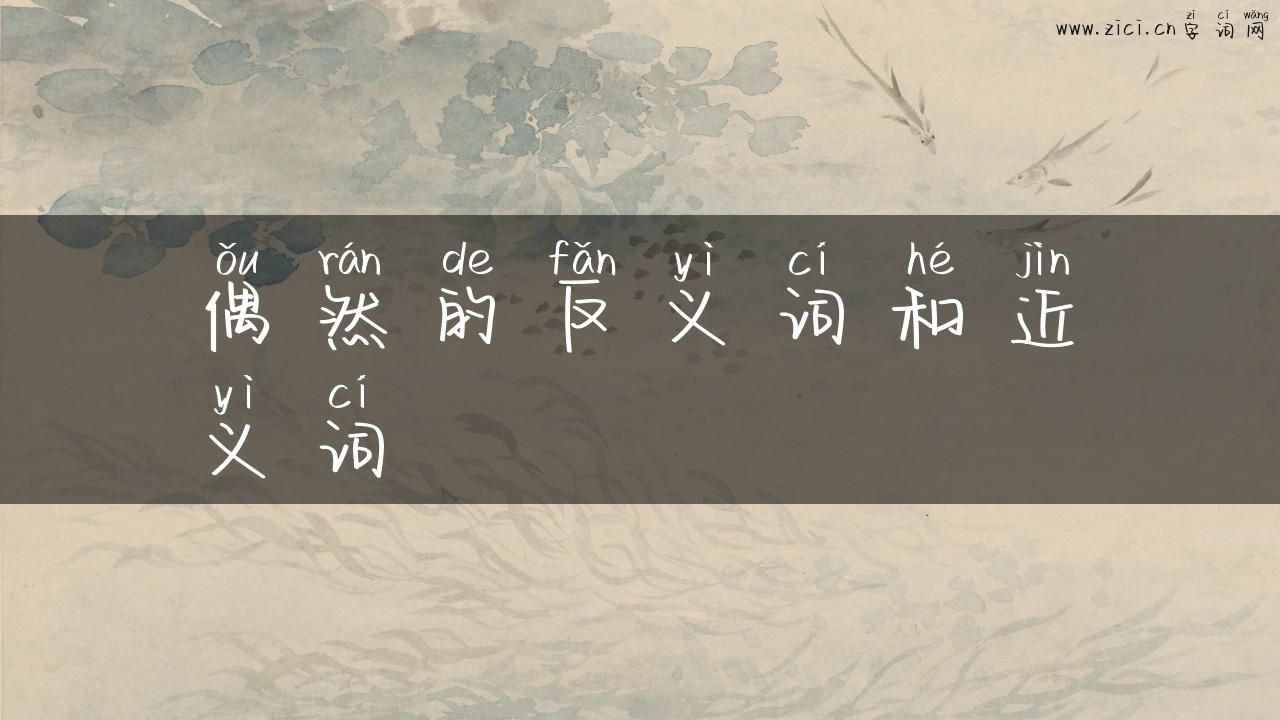 偶然的反义词和近义词