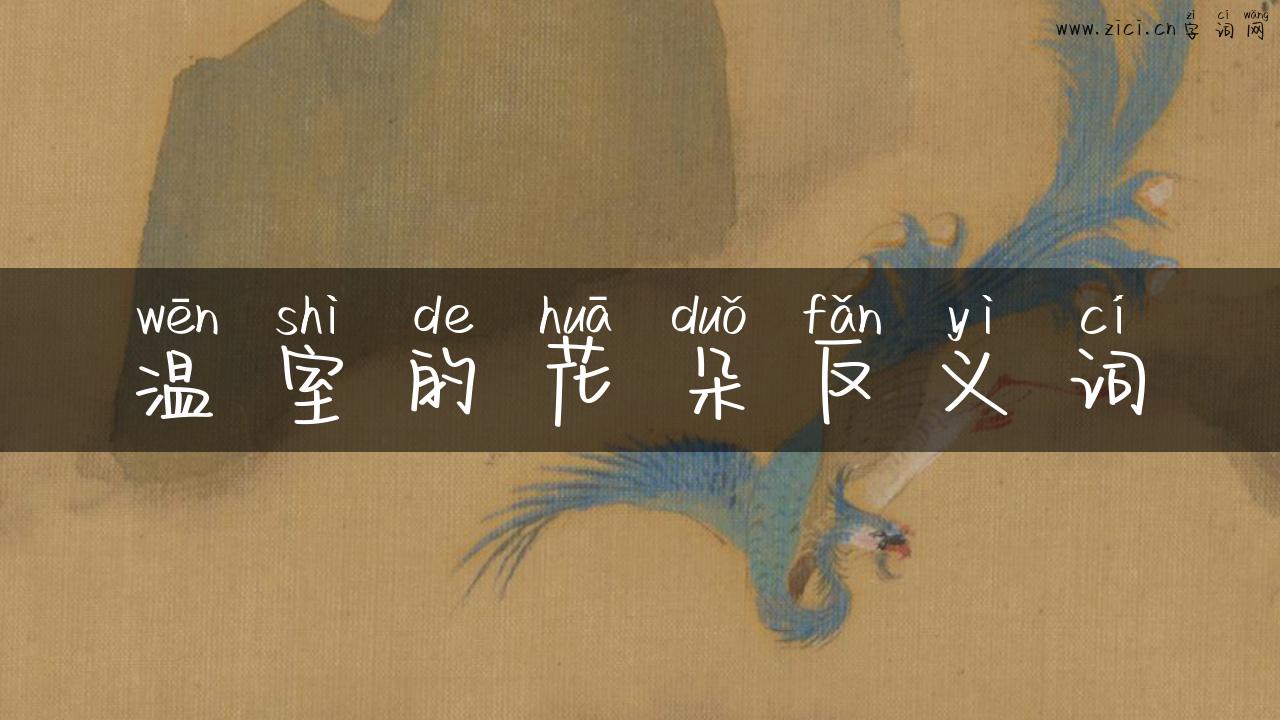 温室的花朵反义词