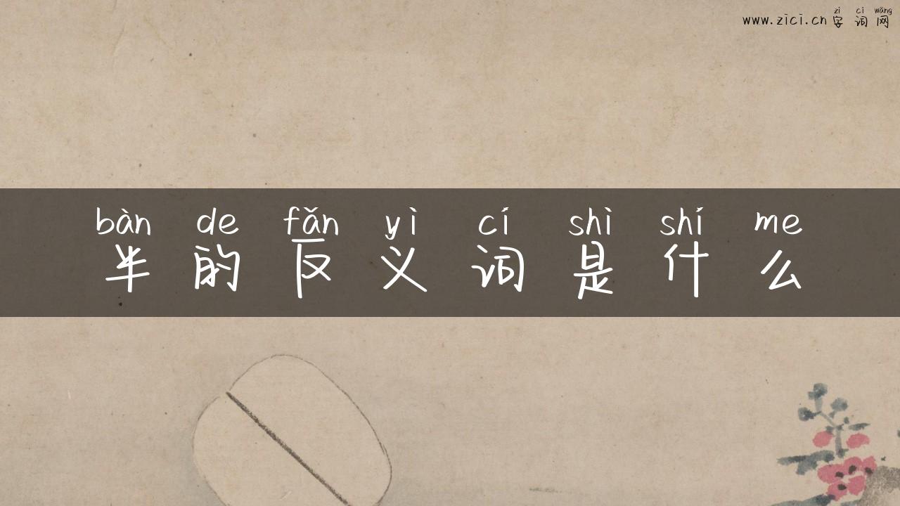 半的反义词是什么