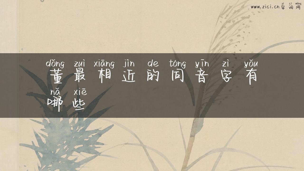 董最相近的同音字有哪些