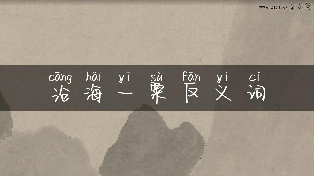 沧海一粟反义词