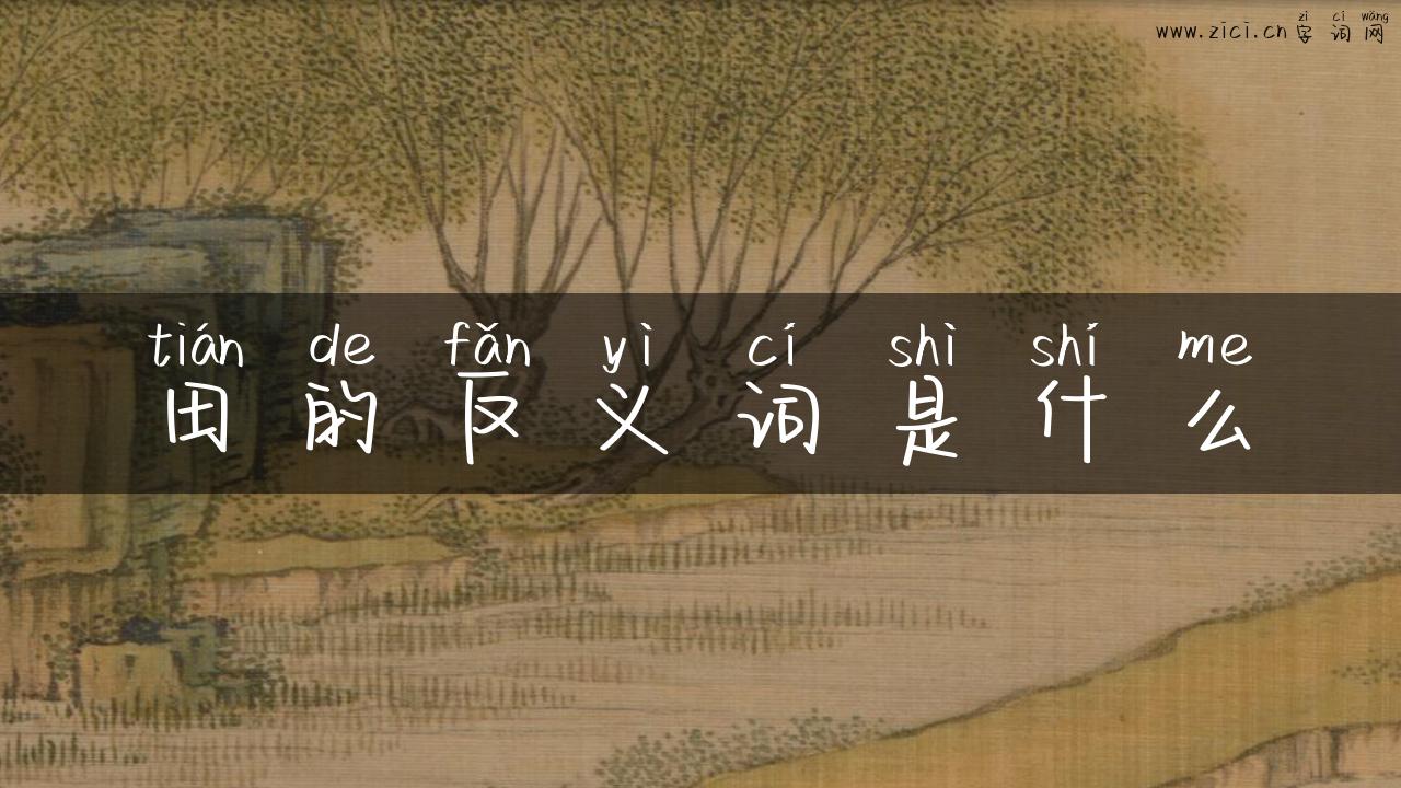 田的反义词是什么