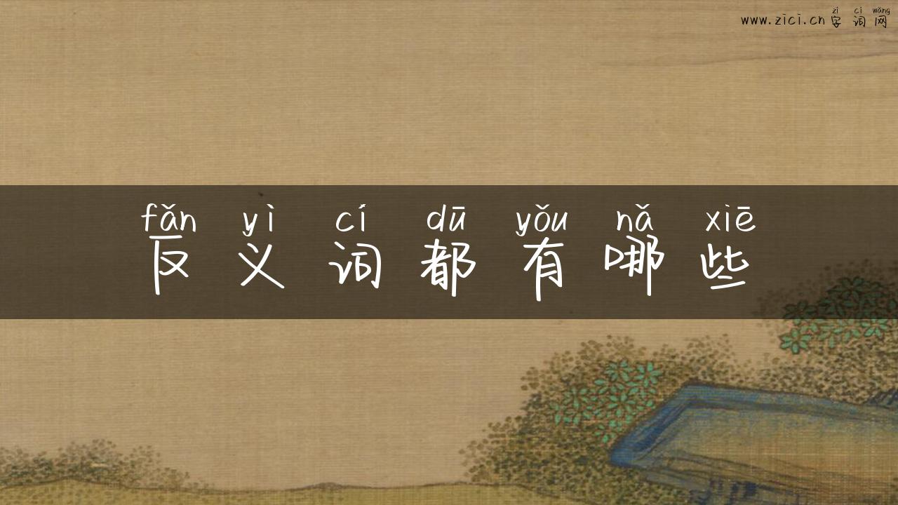 反义词都有哪些