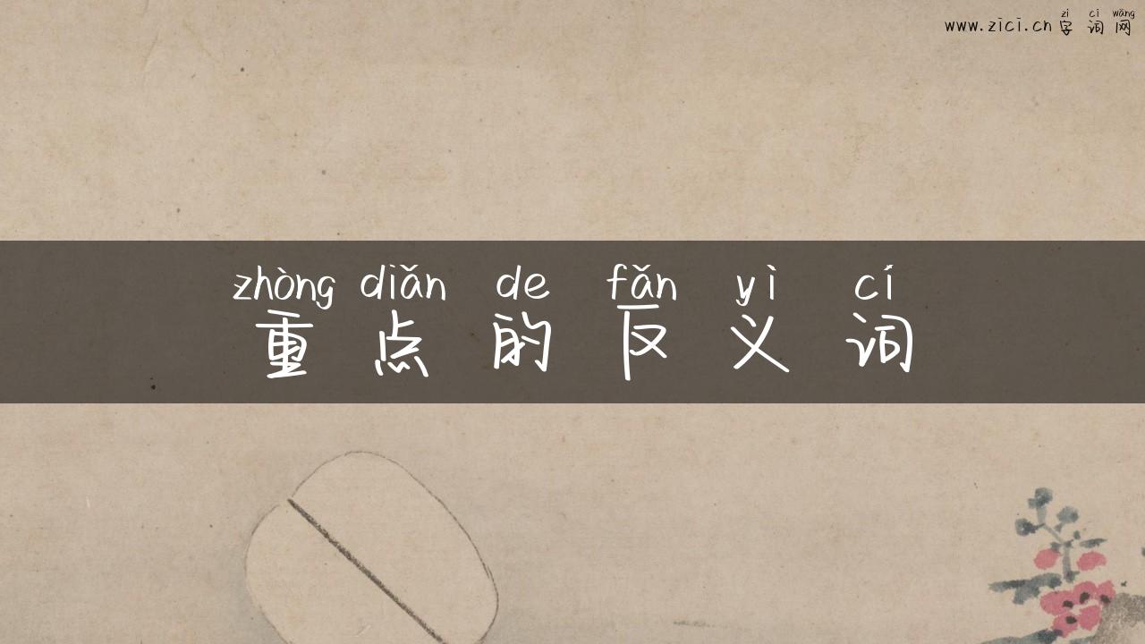 重点的反义词